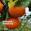 生态沃柑（基地直发-顺丰包邮）| 5斤/箱，来自广西桂林，生产者：唐世荣（合作生产，公平贸易） 商品缩略图2