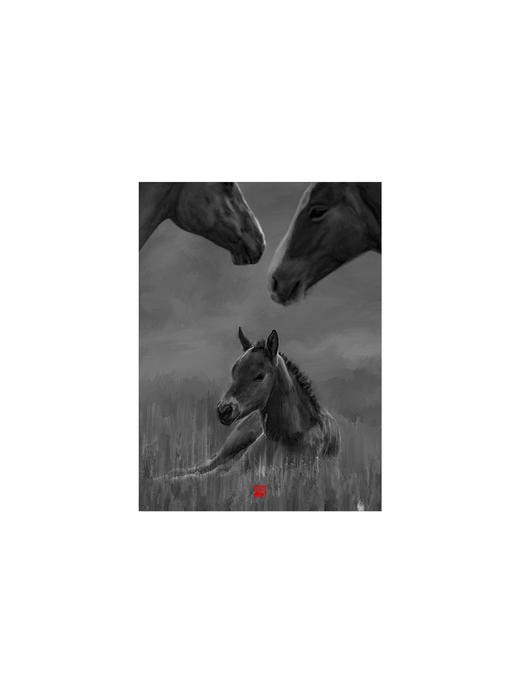 宝音丨 收藏级礼品照片 商品图8