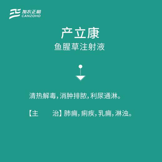 产立康-鱼腥草注射液 商品图1