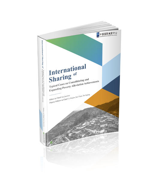 巩固拓展脱贫攻坚成果典型案例国际分享 商品图0