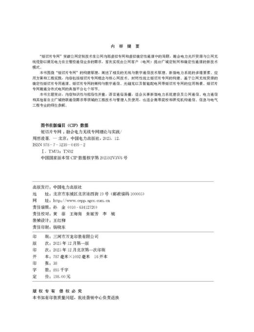 短切片专网——融合电力无线专网理论与实践 商品图3