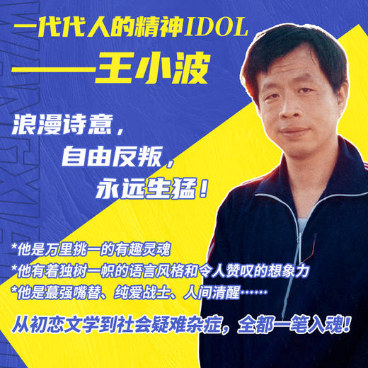 王小波全集（新版，共15册） 商品图2