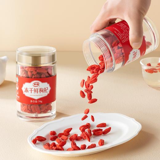 冻干枸杞70g 商品图2