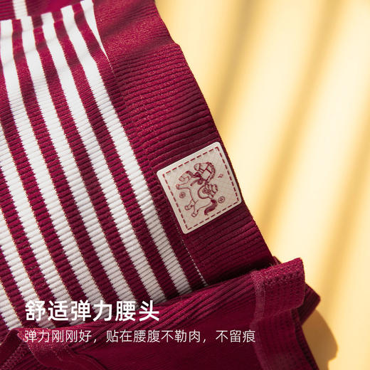 靴下物【全裤10A抑菌】条纹内裤女士三角裤中腰2025新款本命年红 商品图2
