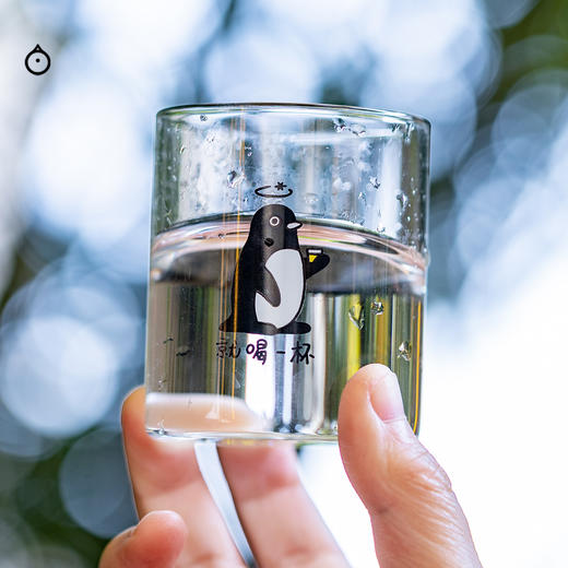 企鹅市集|岛根县台云酒造 雄町 山废工艺/山田锦 生酛工艺  纯米吟酿清酒 商品图1