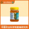 华兴牌 蜂蜜礼盒 椴树蜂蜜+荆条蜂蜜(礼盒单独发出,需组装) 商品缩略图2