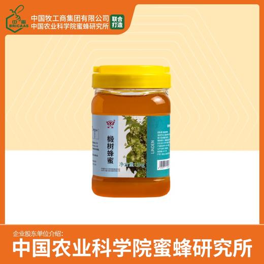 华兴牌 蜂蜜礼盒 椴树蜂蜜+荆条蜂蜜(礼盒单独发出,需组装) 商品图2