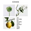 罗意威马德里天光女款淡香水100ml 【白盒简装，自用划算，不适合送人】 有效期至27-6 商品缩略图2