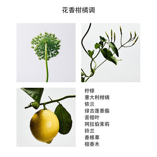 罗意威马德里天光女款淡香水100ml 【白盒简装，自用划算，不适合送人】 有效期至27-6 商品图2