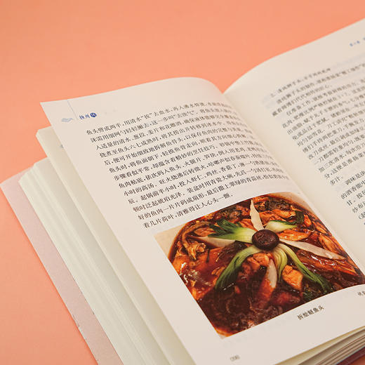 扬州传  张新科 著 商品图6