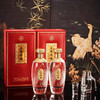 【宜宾五粮液股份有限公司出品】五粮精酿*天禄献瑞 500ml*2瓶  52%vol浓香型白酒 滴滴精酿 尾净香长 精美礼盒包装 商品缩略图1