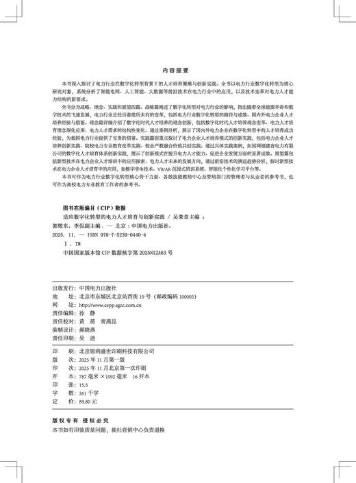 适应数字化转型的电力人才培育与创新实践 商品图2