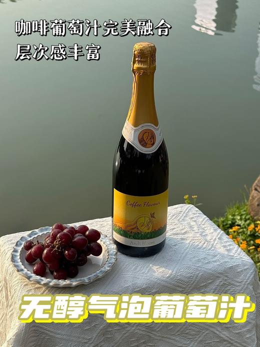 澳洲原瓶进口碧安迪咖啡无醇起泡香槟女生巴罗萨0酒精750ml/瓶 商品图2