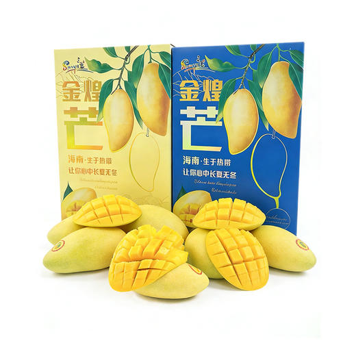 【海南好物】树上熟金煌芒 4.5斤/8斤礼盒装 商品图0