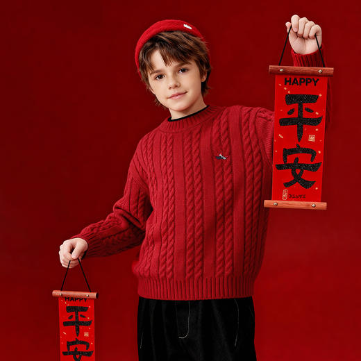 【纳维凯尔】【120-170】Navigare意大利小帆船毛衣男童麻花针织衫 商品图5