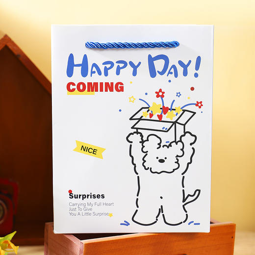 快乐加倍礼品袋S礼袋-纪念日百货门店同款167193799 商品图0