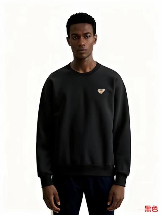 F012226新款春季胸前字母logo两色圆领卫衣男女同款 商品图1