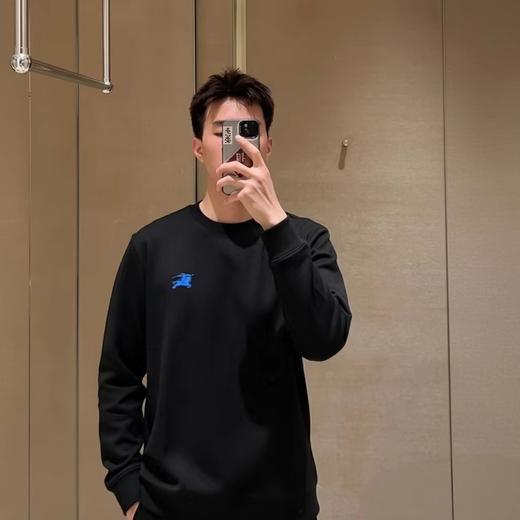 F012225胸前战马刺绣logo两色情侣款圆领卫衣 商品图2