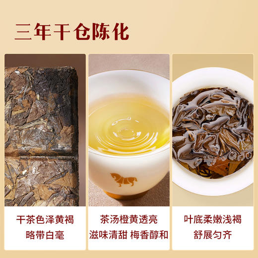 八马茶业｜紫金白兰·福鼎白茶·3年寿眉240g 商品图4