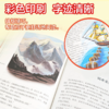 世界少年文学精选名家导读本简爱复活茶花女小妇人金银岛绿野仙踪雾都孤儿柳林风声一千零一夜地心游记杜立德医 商品缩略图2