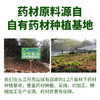 【甄选】贵州从江瑶浴精粹液 买精粹液送瑶浴香薰精油 古方免煮 天然本草精华浓缩液 全家都能用 商品缩略图2