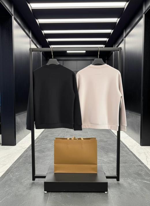 F012225胸前战马刺绣logo两色情侣款圆领卫衣 商品图1