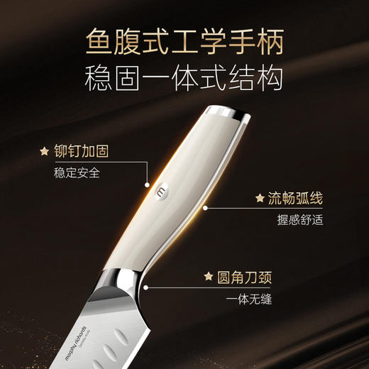 摩飞电器全封闭刀具消毒机消毒刀架烘干一体机全套厨房菜刀水果刀砍骨刀套装五件套家用无尘收纳架 MR1008 全封闭式消烘-刀具5件套 商品图5