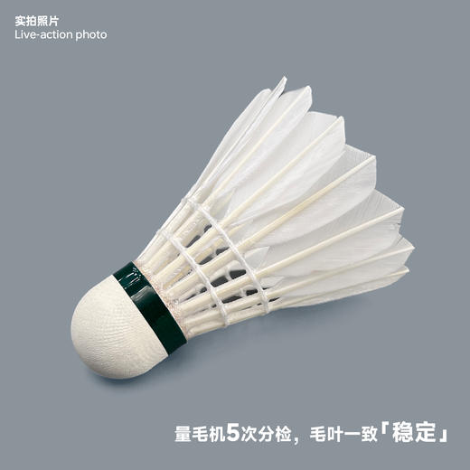 飞羽 羽毛球 训练级 优质鸭毛 紫羽-C800 商品图2