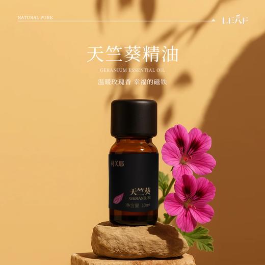 利芙耶 全家福精油套组10ml/瓶 商品图8