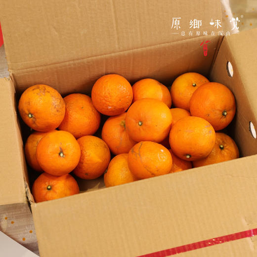 生态沃柑（基地直发-顺丰包邮）| 5斤/箱，来自广西桂林，生产者：唐世荣（合作生产，公平贸易） 商品图5