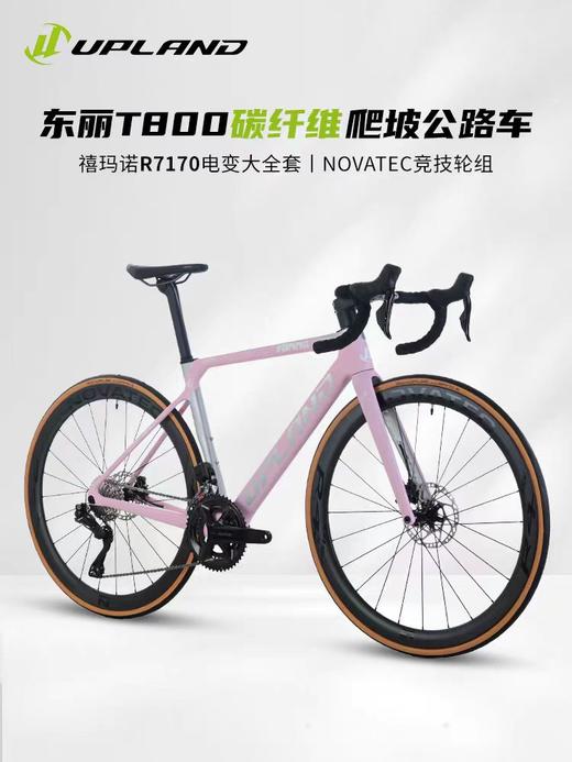 UPLAND（阿普兰）生肖兔碳纤维27.5寸油压碟刹碳纤维山地车 商品图2