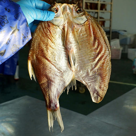 【宜昌助农馆】楚品鲜 阳干武昌鱼 500g*2袋（4条） 商品图2