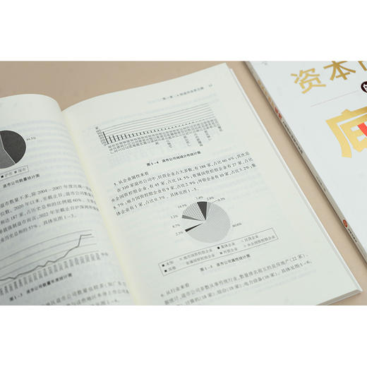 资本市场的底线：A股退市制度与实践 吕佳臻著 法律出版社 商品图5