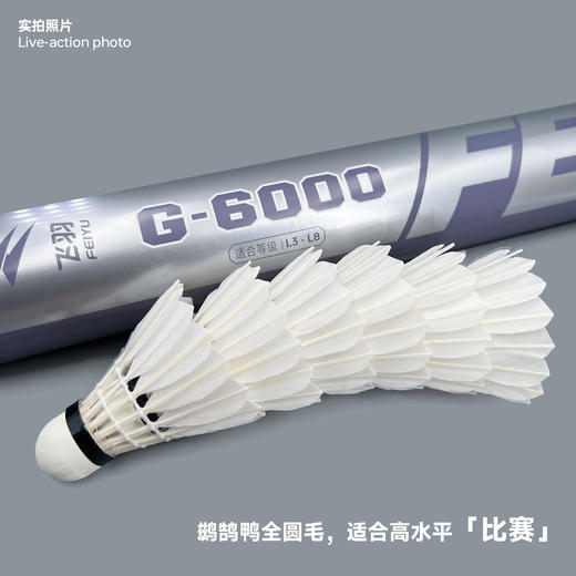 飞羽 羽毛球 比赛级 优质鸭毛 银羽-G6000 商品图5