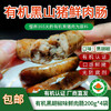 【厂商直发】有机黑猪爆汁鲜肉肠200g*4袋原味/胡椒味口感鲜嫩包邮 商品缩略图9