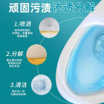 大公鸡管家（CHANTE CLAIR）马桶清洁剂625ml  除垢洁厕液洁厕灵去渍去异味 商品图2