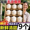 【甜蜜椰香❗️正宗海南椰青】椰香味更浓，椰汁甘甜爽口，新鲜非香水耶子孕妇小椰宝牛奶椰汁当季新鲜水果L 商品缩略图0