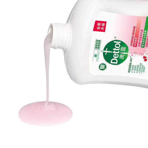 滴露滋润倍护抑菌洗手液（拆包装发货） 商品图2