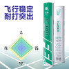 飞羽 羽毛球 训练级 优质鸭毛 绿羽-C300 商品缩略图1