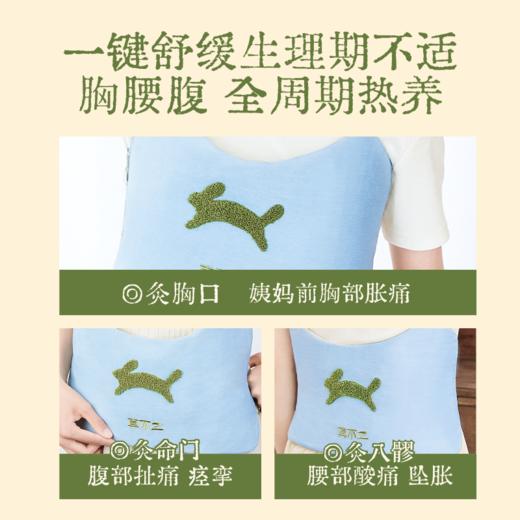 【真不二】「散结套组」玳玳花胸部热敷袋+散结汤1袋+元胡五灵脂贴2盒八髎贴 商品图5