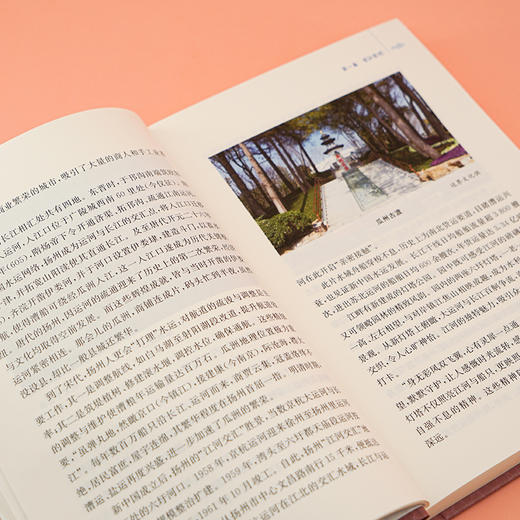 扬州传  张新科 著 商品图5