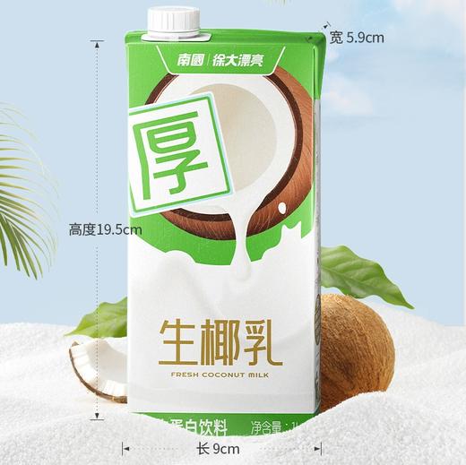 南国生椰乳 ·大容量 1L装 椰肉+椰子水黄金配比 入口清甜细腻，椰香浓郁，醇厚度约为普通椰汁的2倍 即倒即饮，30秒轻松调饮，省时省力 饮料 商品图3