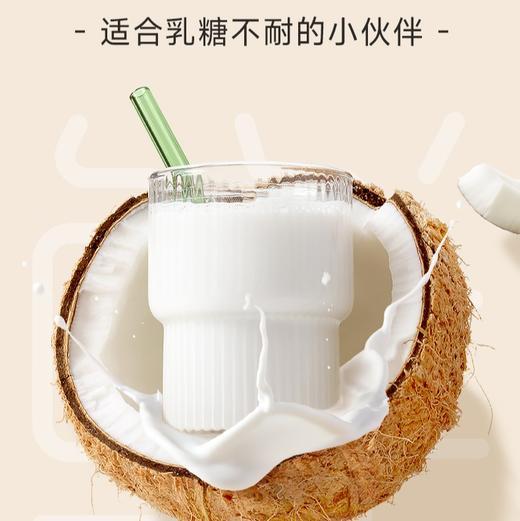 南国生椰乳 ·大容量 1L装 椰肉+椰子水黄金配比 入口清甜细腻，椰香浓郁，醇厚度约为普通椰汁的2倍 即倒即饮，30秒轻松调饮，省时省力 饮料 商品图4