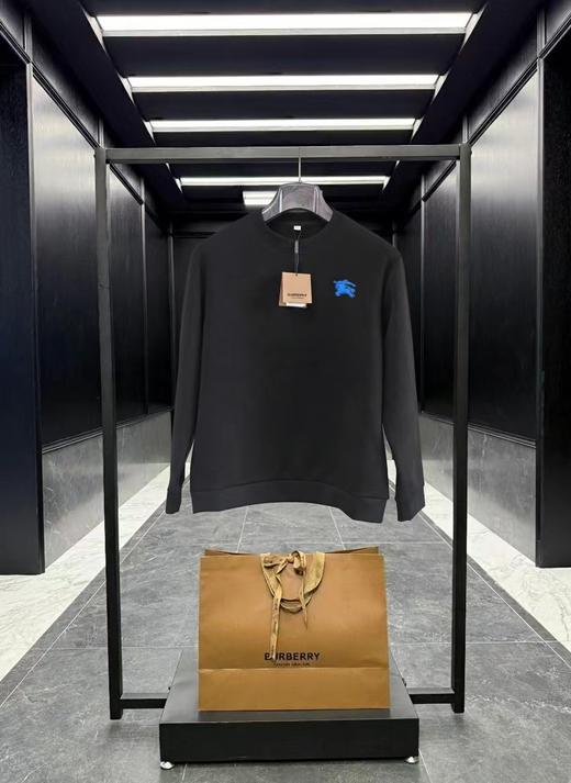 F012225胸前战马刺绣logo两色情侣款圆领卫衣 商品图7