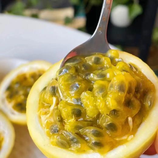 喜禾农场微醺·百香果5斤装32枚尊享版 商品图3