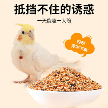 比克熊鹦鹉饲料五色黍子混合鸟粮虎皮玄凤牡丹中小型鹦鹉粮食1kg 商品图3