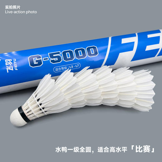 飞羽 羽毛球 比赛级 优质鸭毛 蓝羽-G5000 商品图2