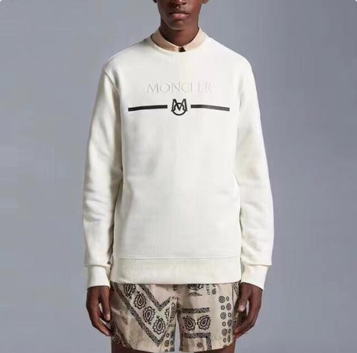 F012220手臂徽标字母logo胶印植绒男女款加绒圆领卫衣 商品图4