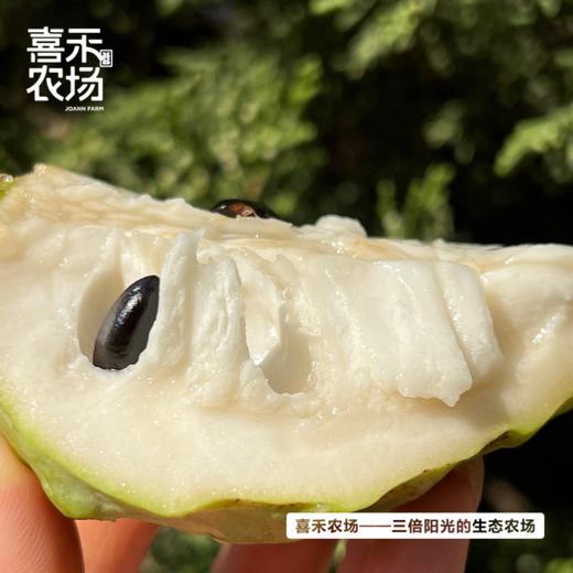 喜禾农场 牛奶释迦 5斤装5-6个 商品图3