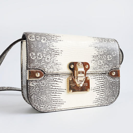 【95新】LV路易威登中号喜马拉雅蜥蜴皮Orsay单肩斜挎包女士 170126TJ51 商品图2